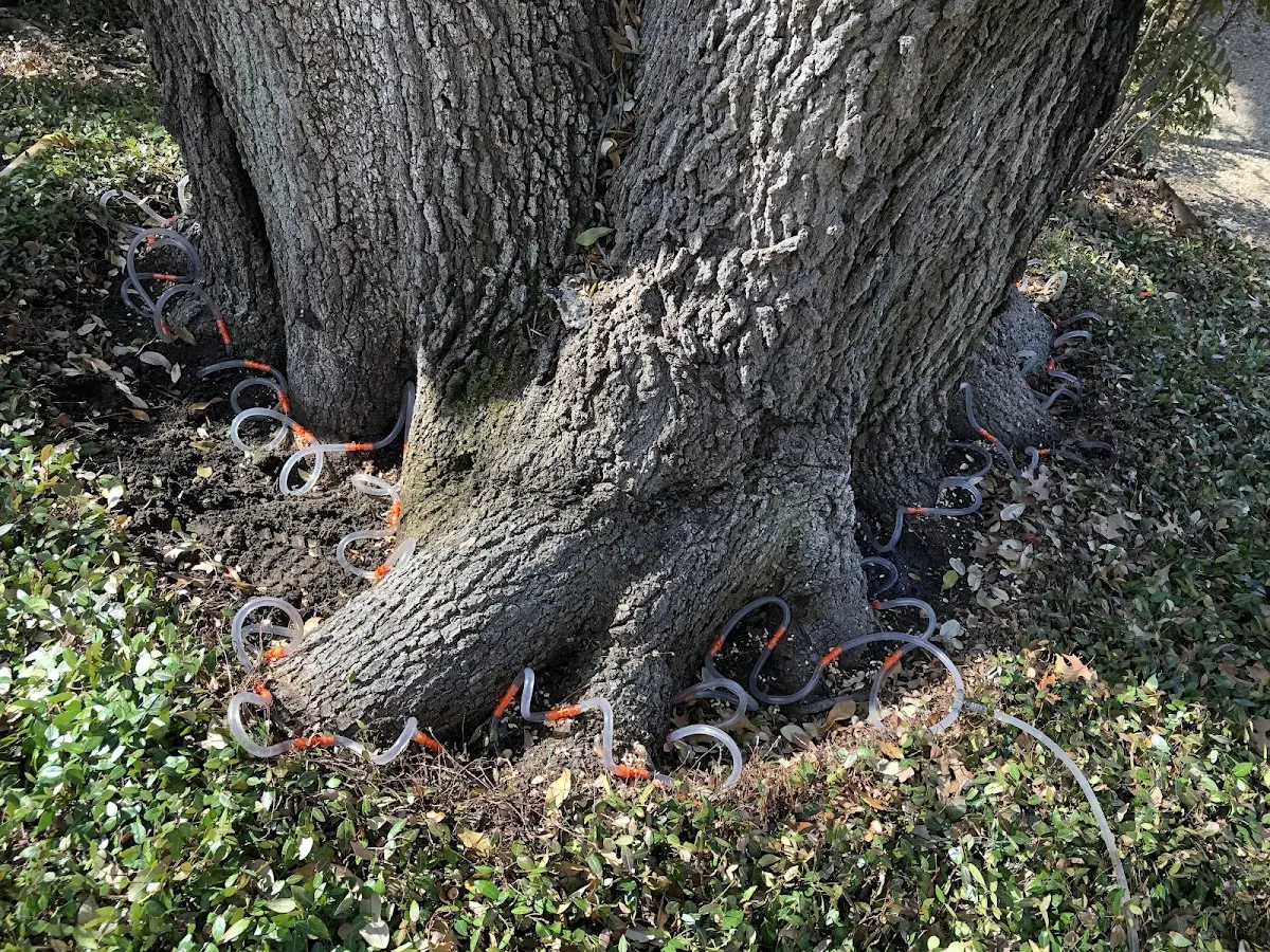 Detailed Shrub and Hedge Trimming job site in Ostrander